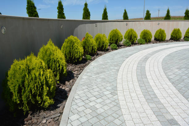 Paver Driveway Replacement in Canyon Lake, TX